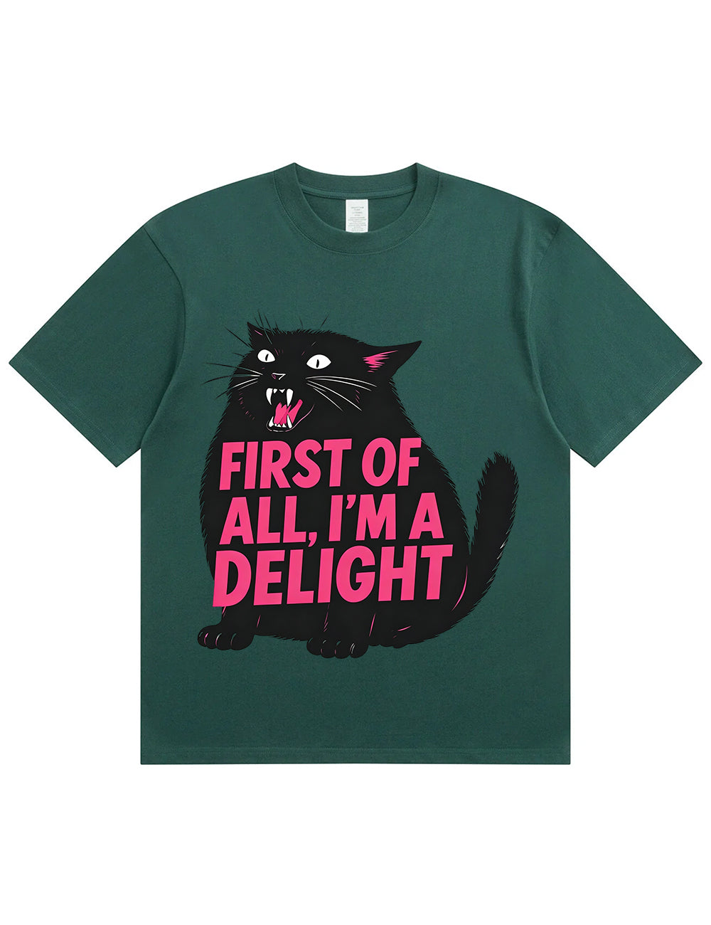 Funny Sarcastic Cat Oversized Casual Tee