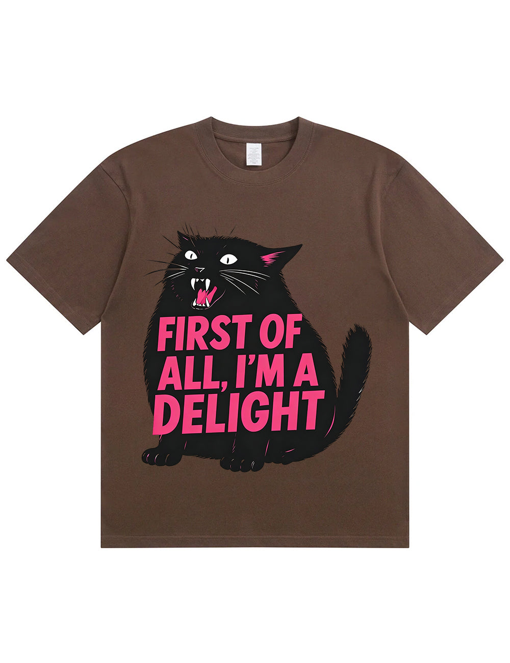 Funny Sarcastic Cat Oversized Casual Tee