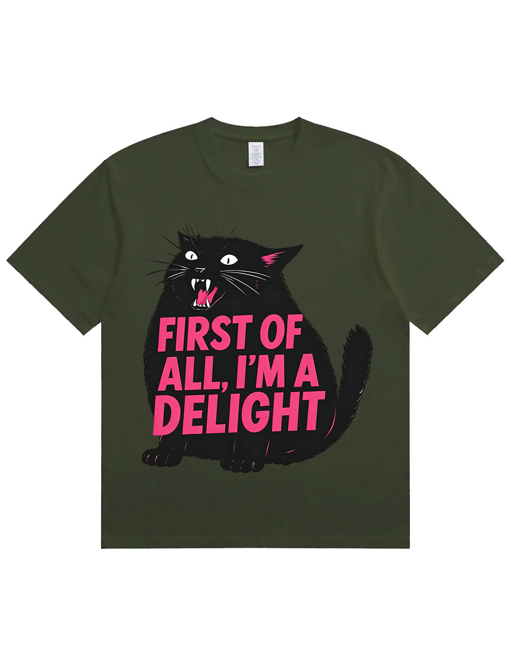 Funny Sarcastic Cat Oversized Casual Tee
