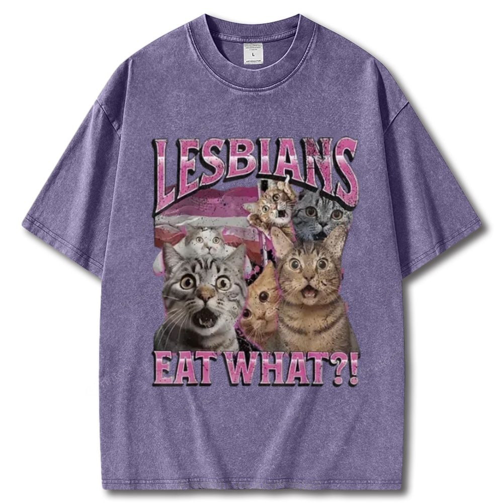 Playful Cat Meme Lesbian Surprise Unisex Vintage Washed Tee