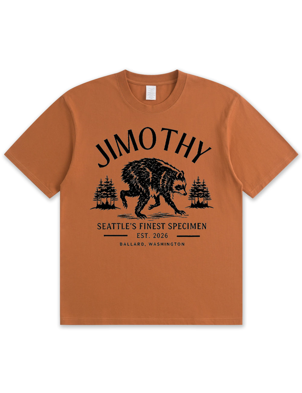 Seattle Racoon Trash Panda Graphic Soft Cotton T-Shirt