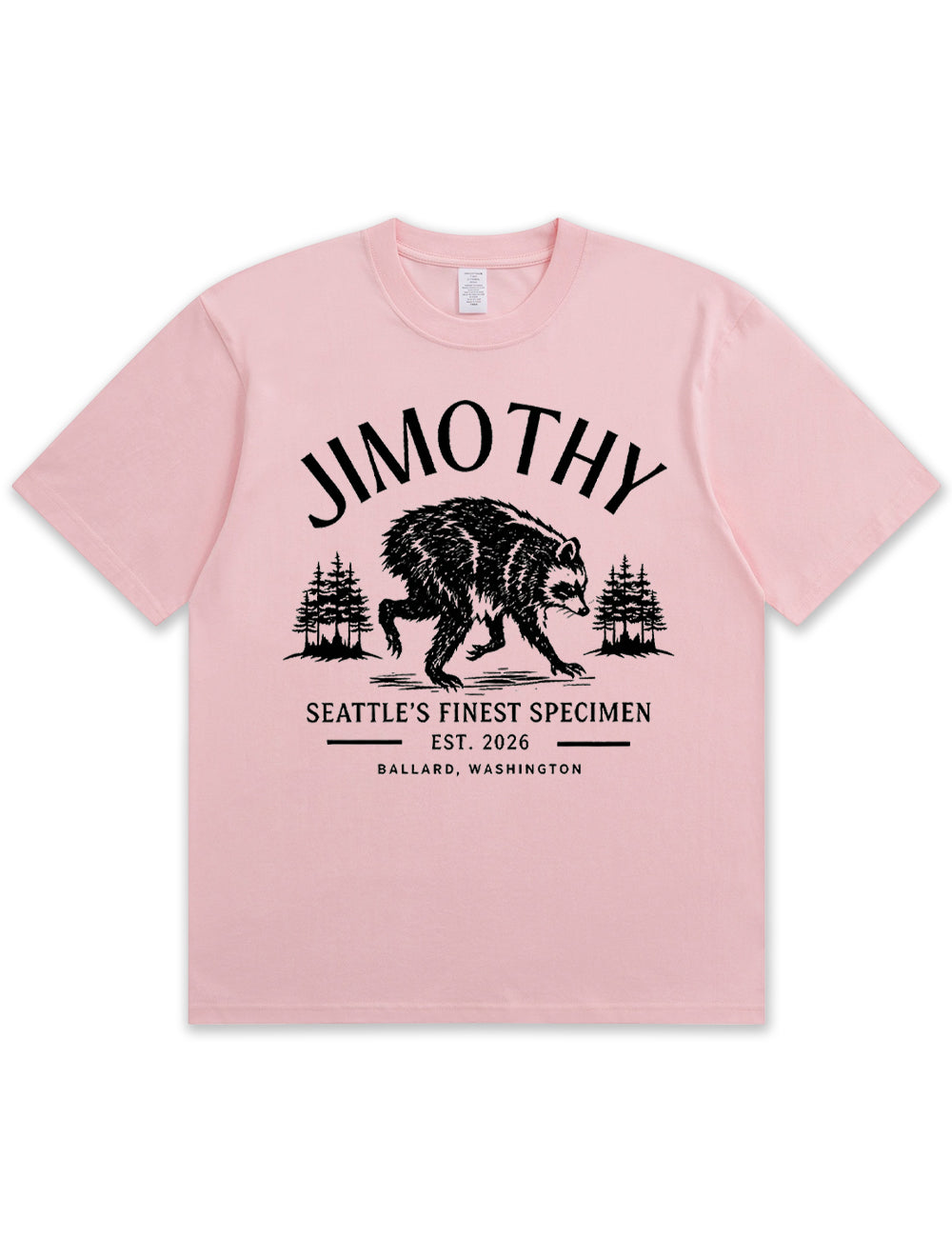 Seattle Racoon Trash Panda Graphic Soft Cotton T-Shirt