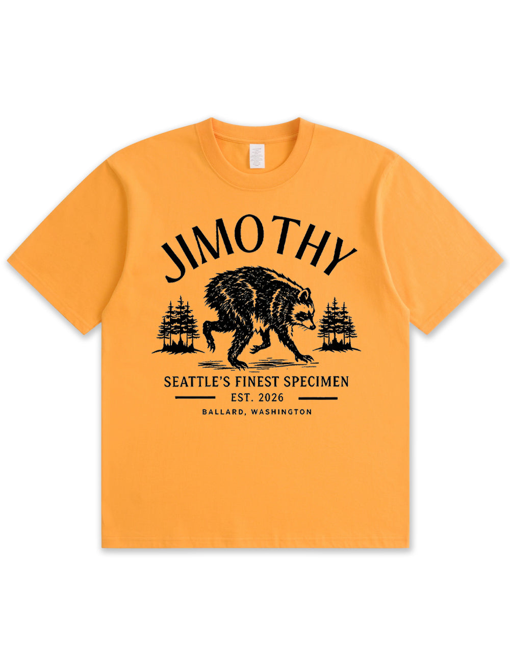 Seattle Racoon Trash Panda Graphic Soft Cotton T-Shirt