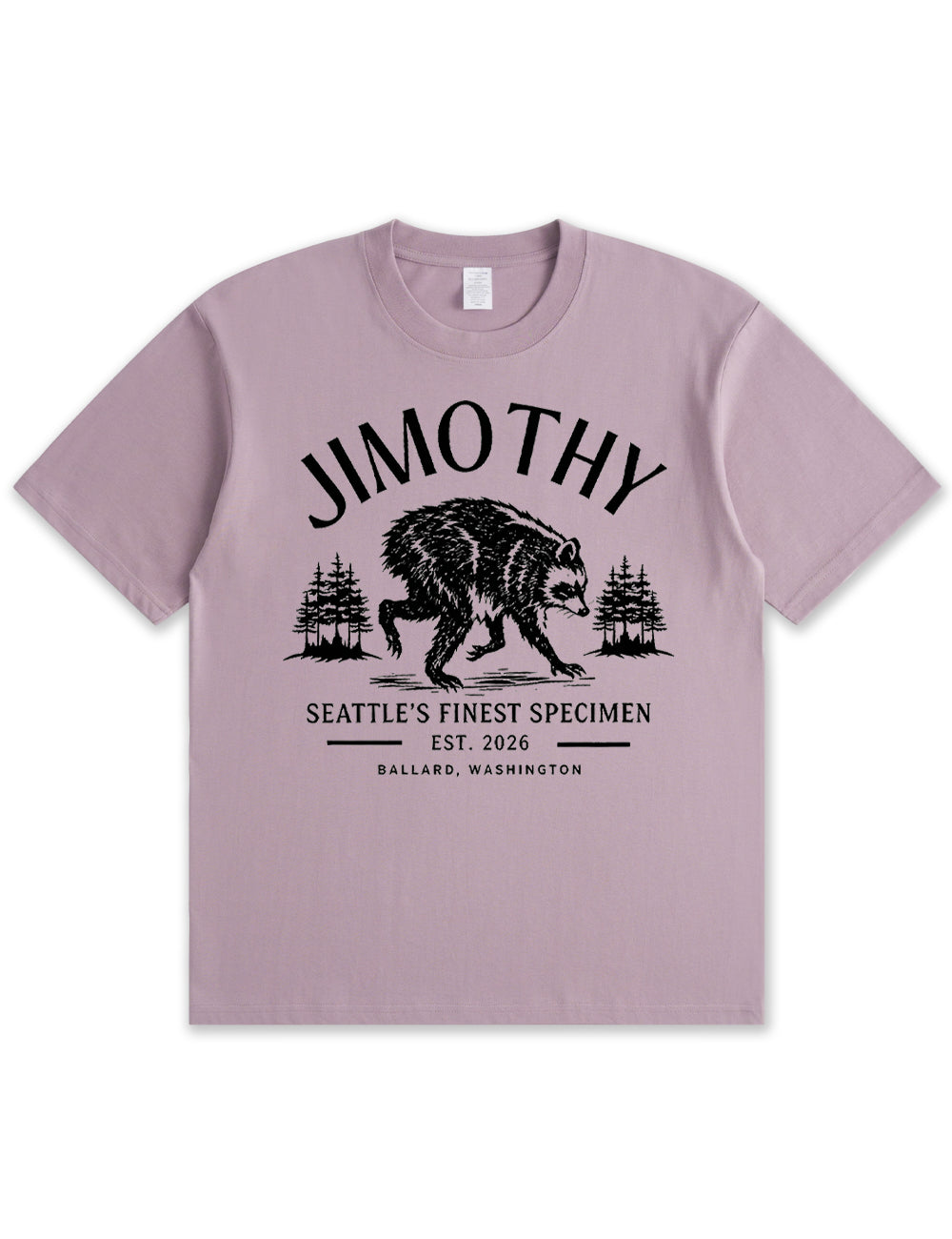 Seattle Racoon Trash Panda Graphic Soft Cotton T-Shirt