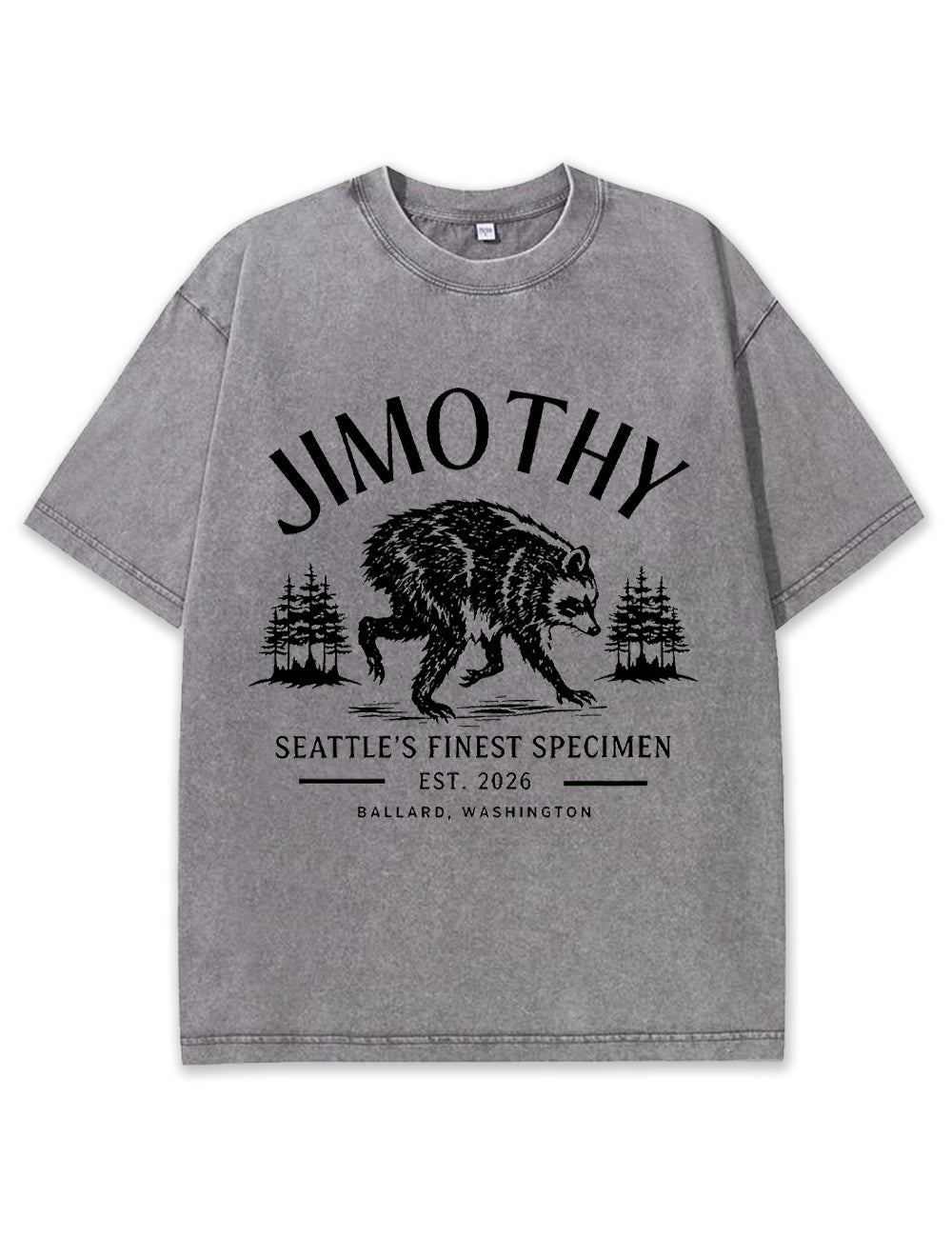 Seattle Racoon Trash Panda Graphic Vintage Washed T-Shirt