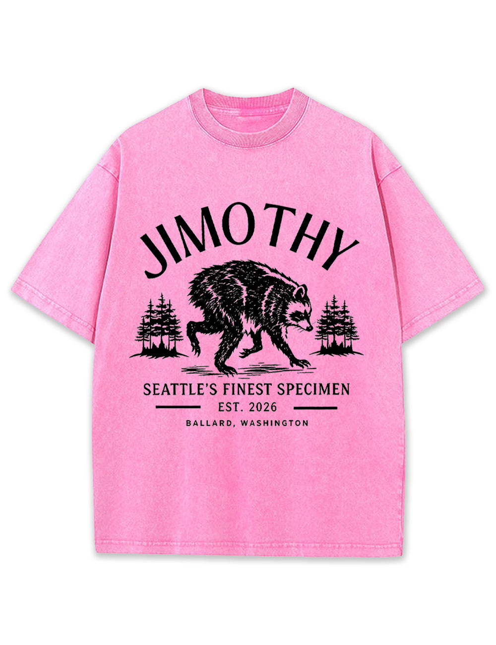 Seattle Racoon Trash Panda Graphic Vintage Washed T-Shirt
