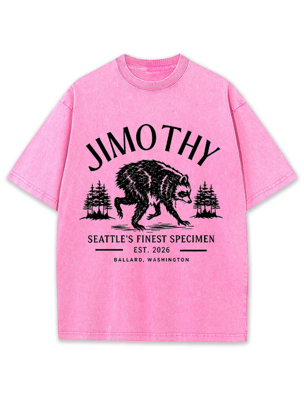 Seattle Racoon Trash Panda Graphic Vintage Washed T-Shirt
