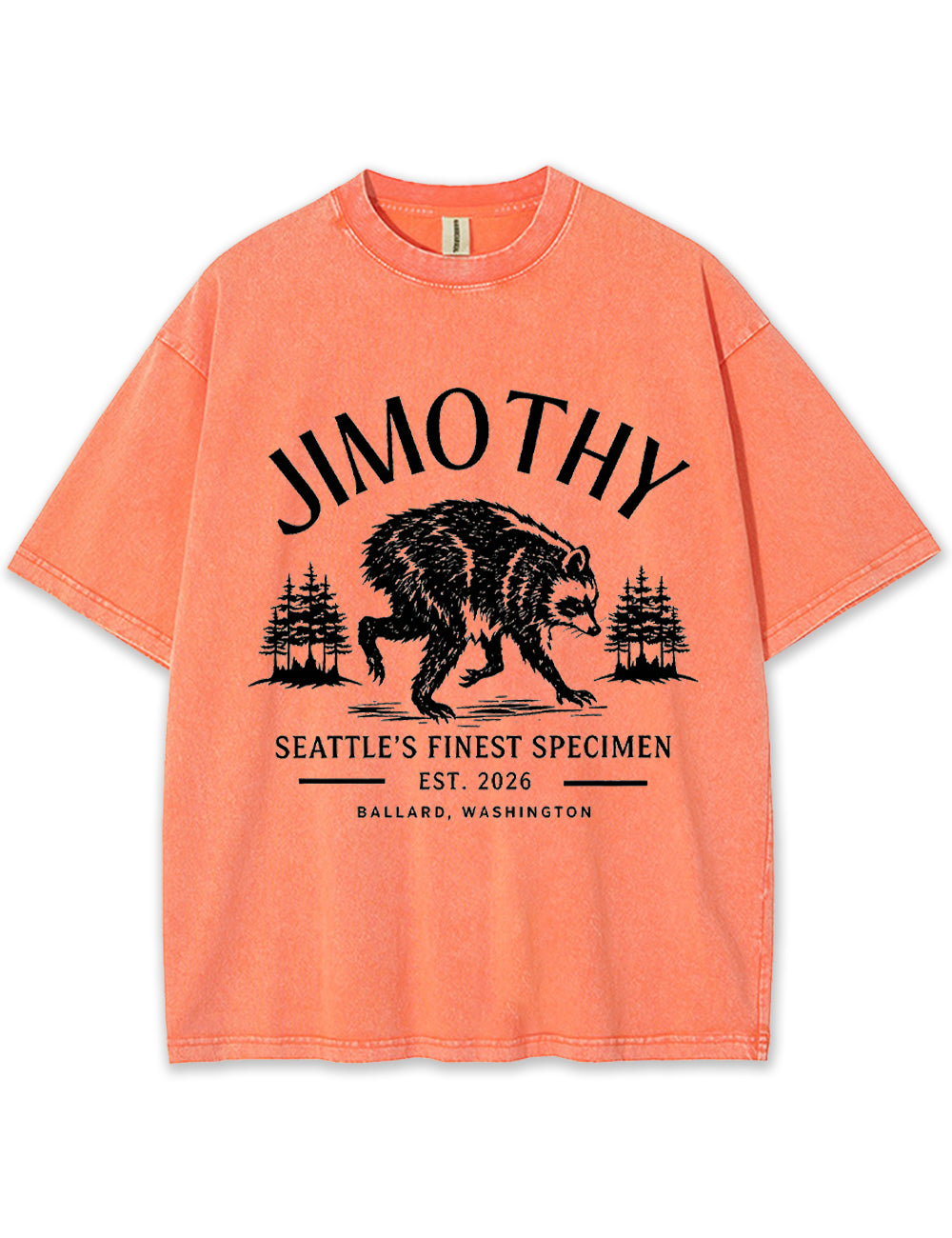 Seattle Racoon Trash Panda Graphic Vintage Washed T-Shirt