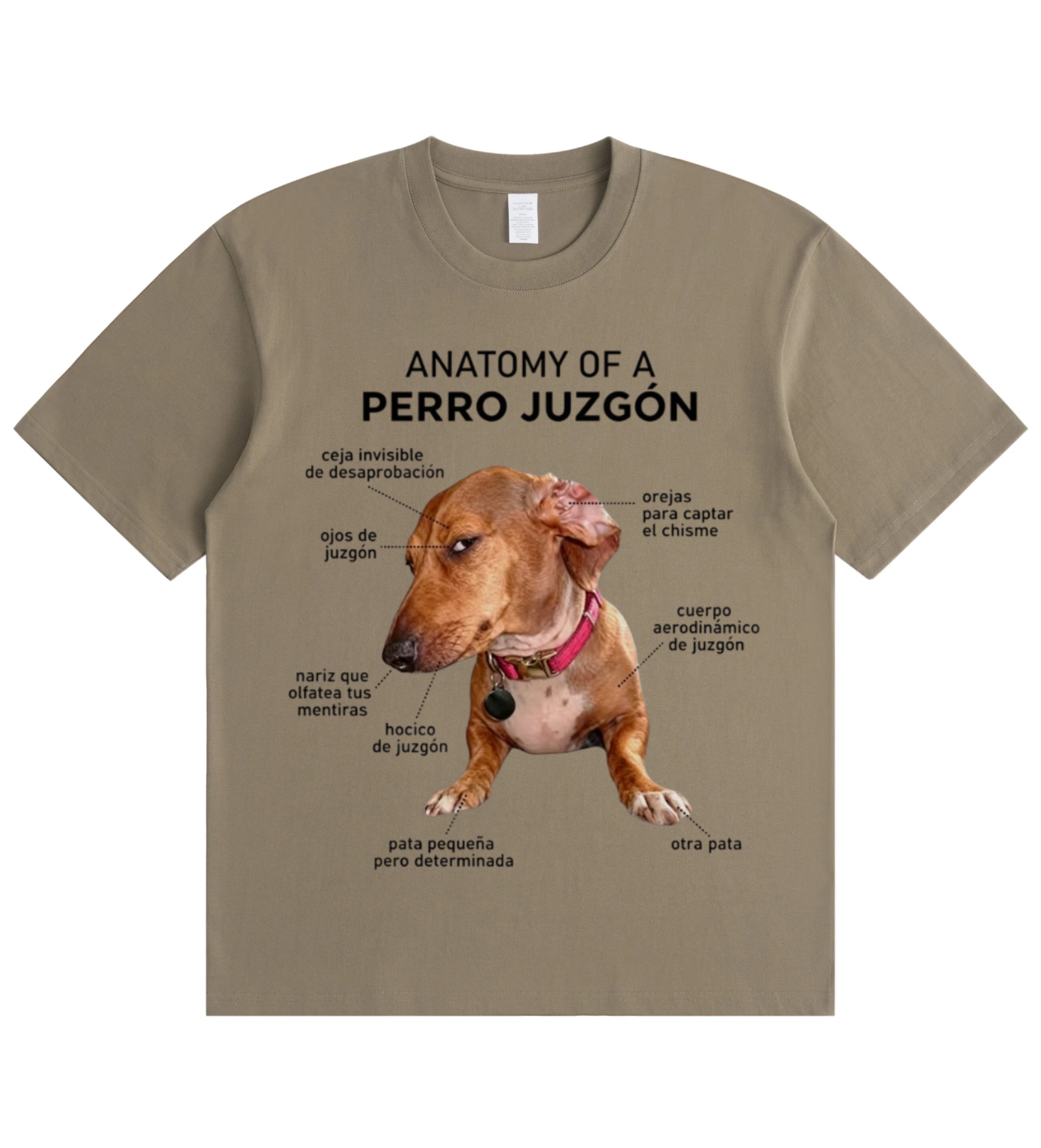 Anatomy of a Judgy Dog T-Shirt
