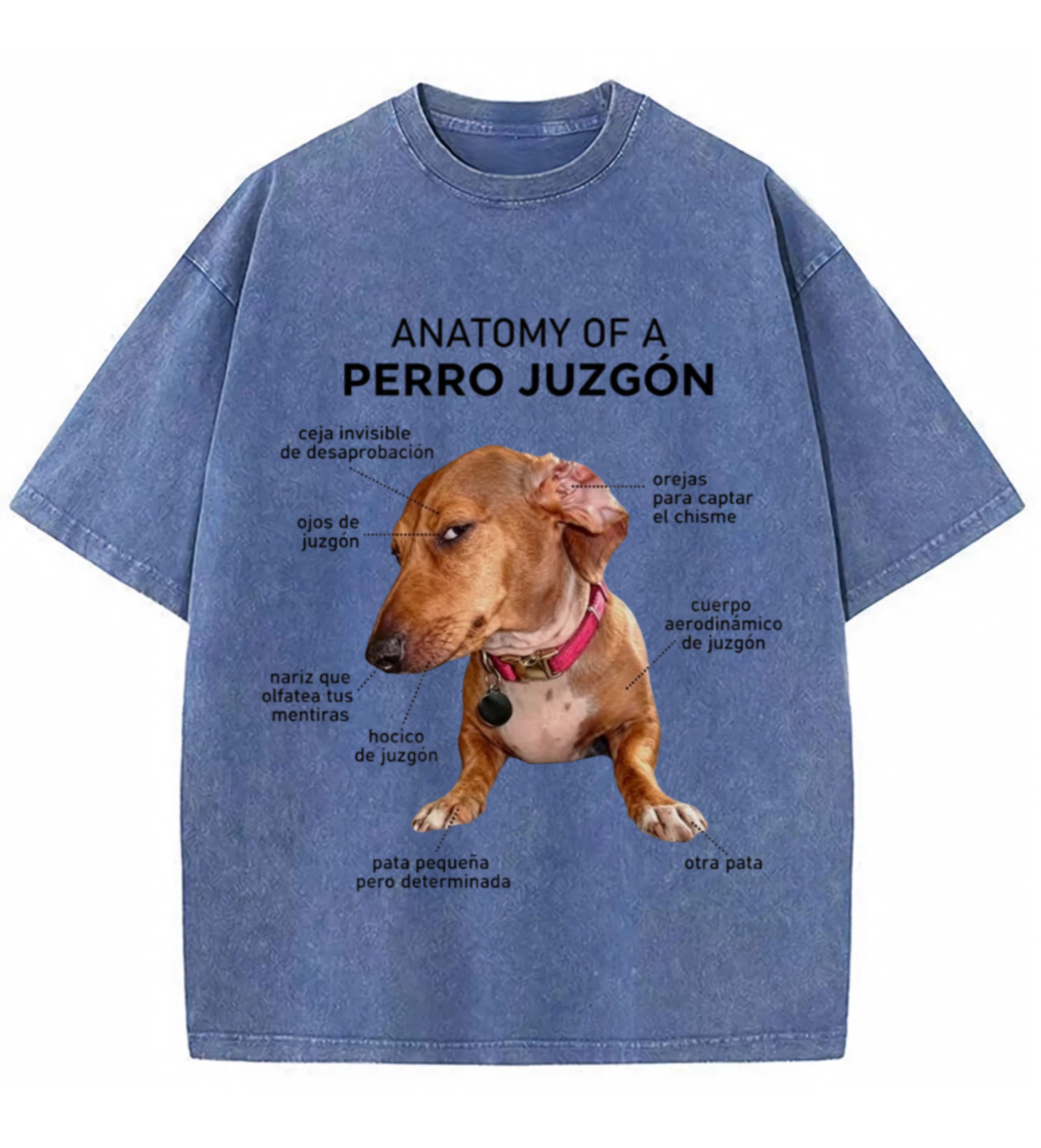 Anatomy of a Judgy Dog T-Shirt