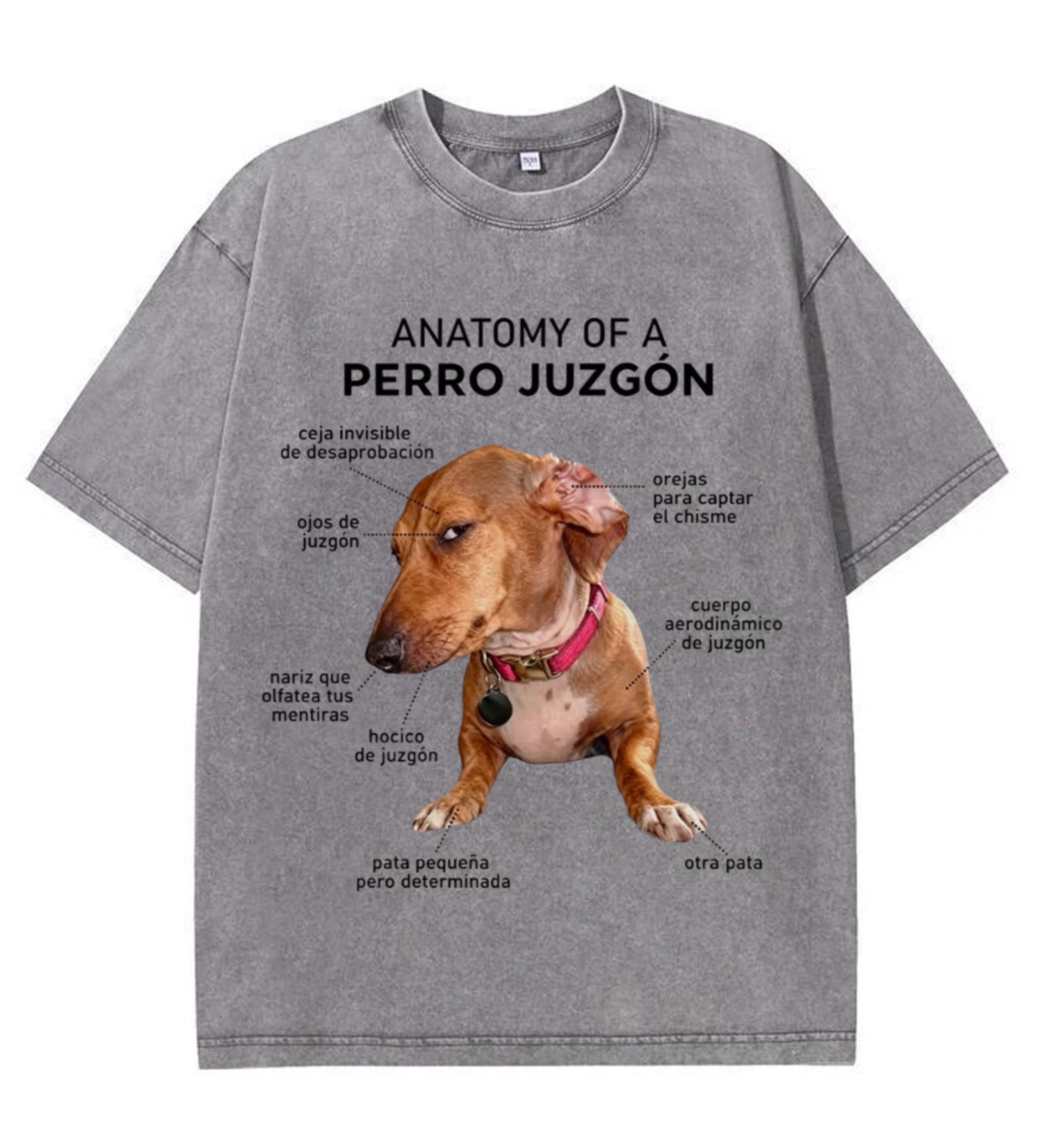 Anatomy of a Judgy Dog T-Shirt