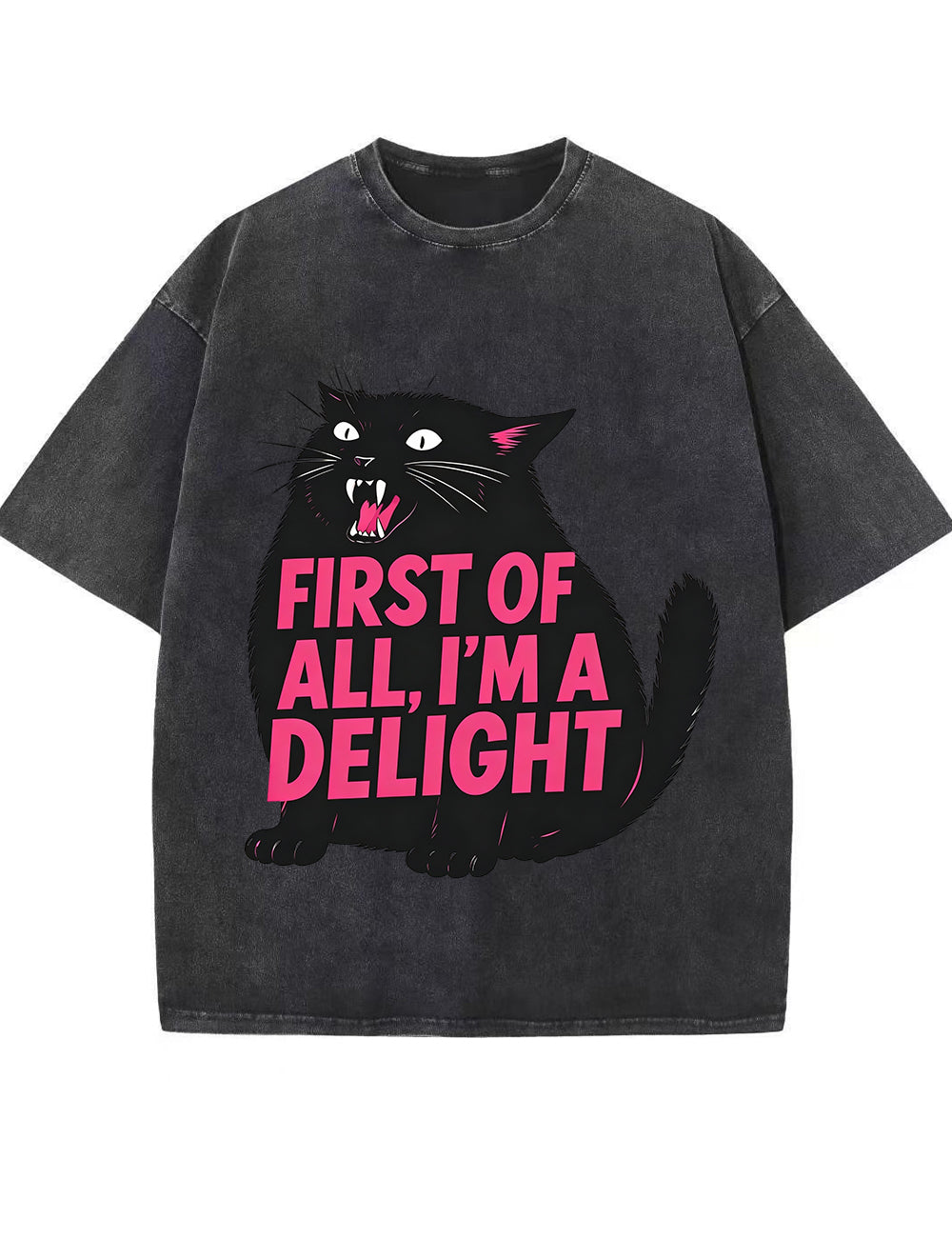 Funny Sarcastic Cat Oversized Casual Tee