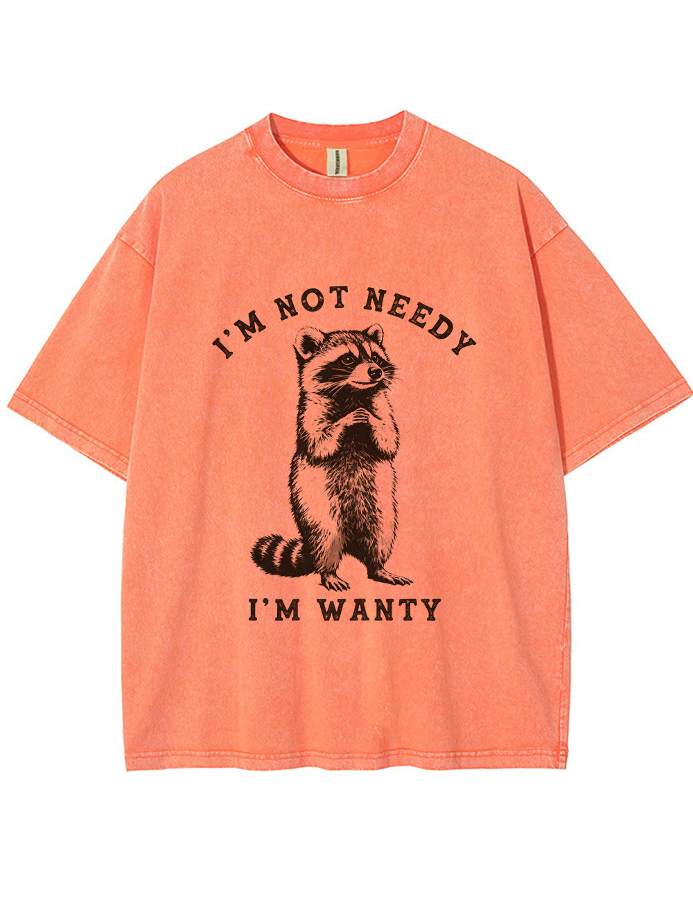 Vintage Washed I'm Not Needy I'm Wanty Raccoon Graphic T Shirt Main image