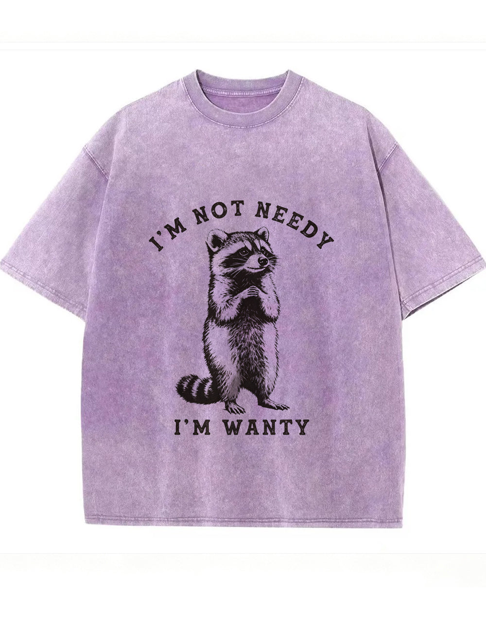 Vintage Washed I'm Not Needy I'm Wanty Raccoon Graphic T Shirt Secondary image