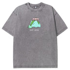 Cute Parent & Kid Torterra Vintage Washed T-Shirt