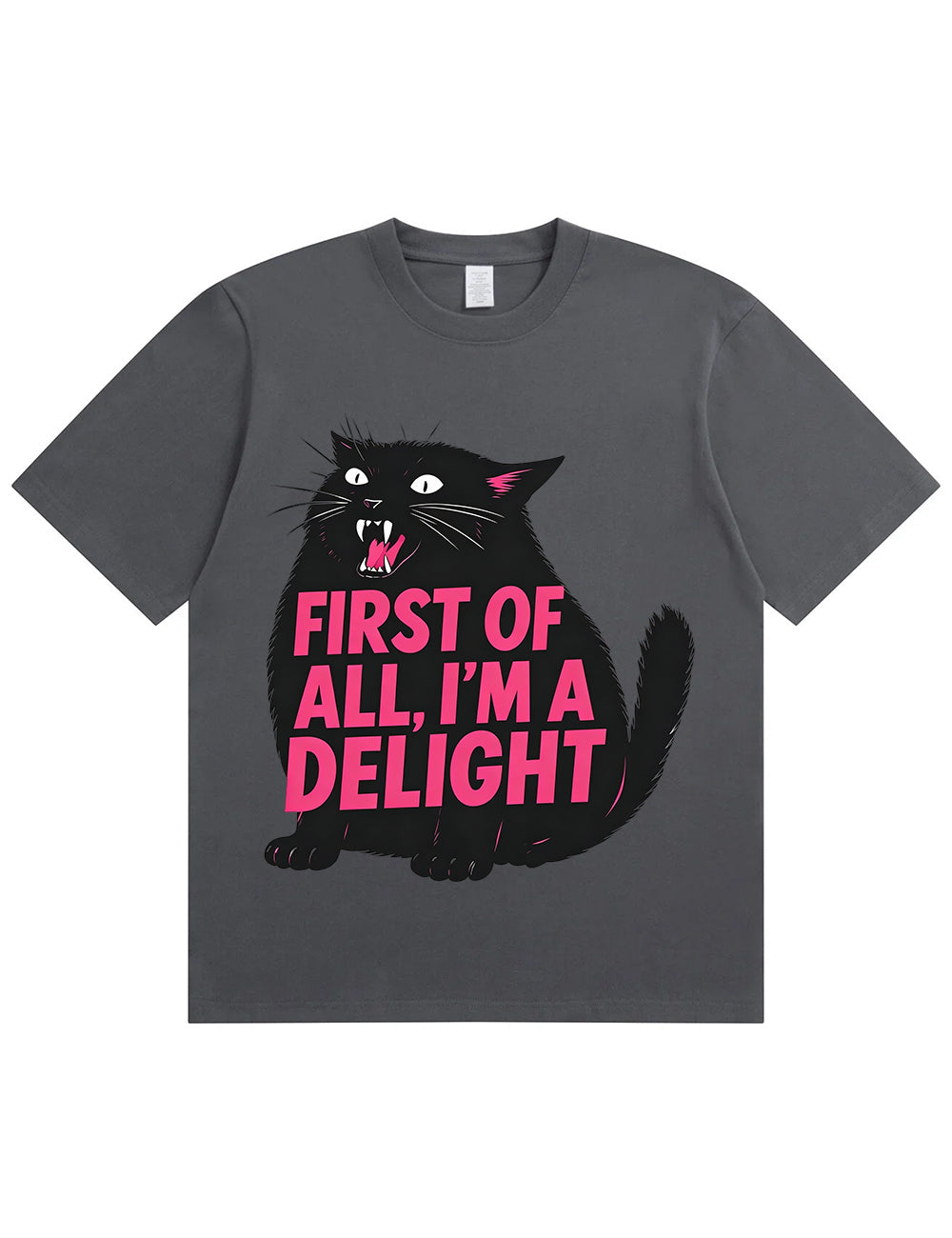 Funny Sarcastic Cat Oversized Casual Tee