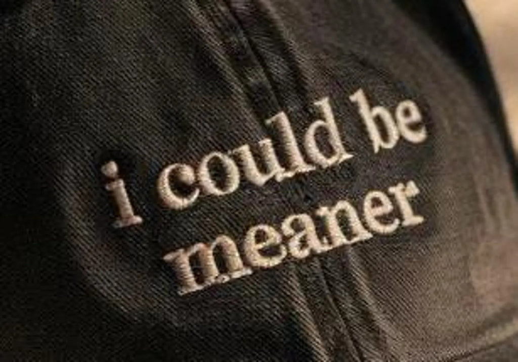 Embroidered I Could Be Meaner Baseball Hat-Gift For Custom
