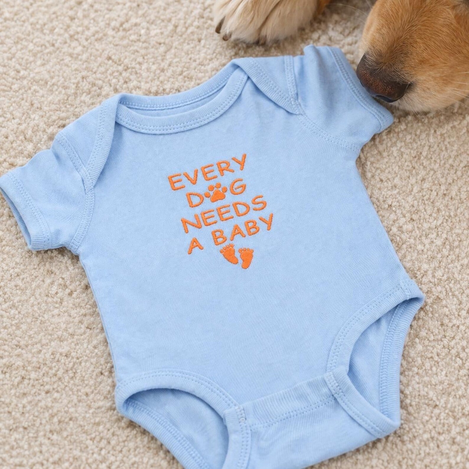 Every Dog Needs A Baby Embroidered Onesie