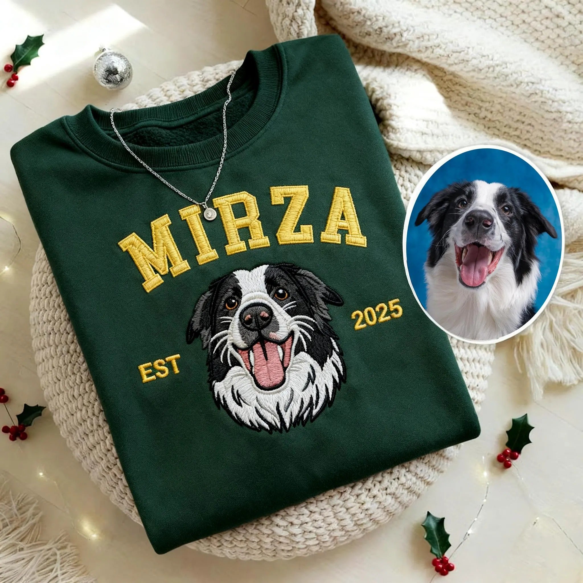 Pet Embroidered Sweatshirt Main image
